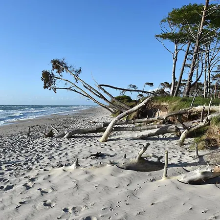 Strandhafer An Der Seebruecke 公寓 青斯特