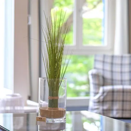 Strandhafer An Der Seebruecke * 青斯特