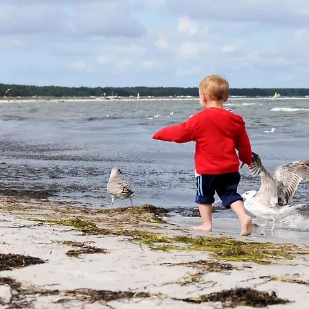 Strandhafer An Der Seebruecke 公寓 青斯特