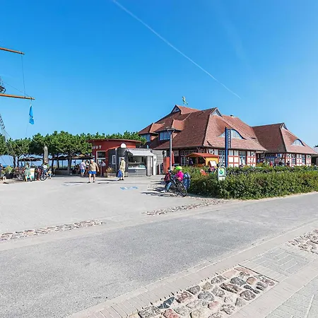 Strandhafer An Der Seebruecke *